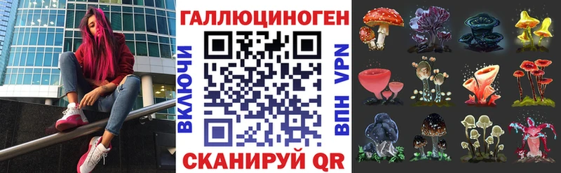 Псилоцибиновые грибы Cubensis  Оленегорск 